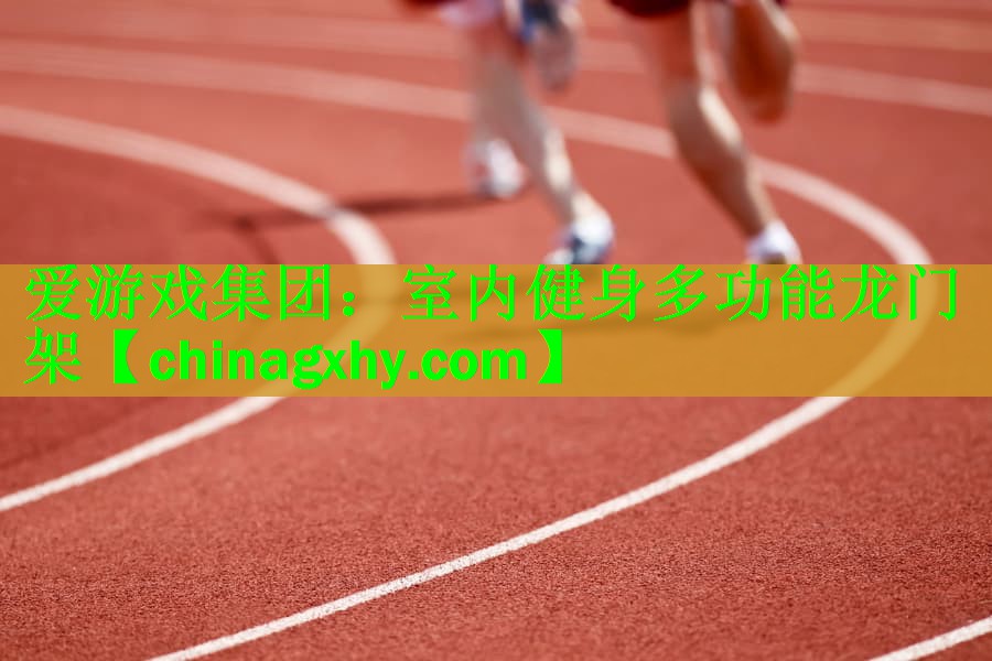 <strong>爱游戏集团：室内健身多功能龙门架</strong>