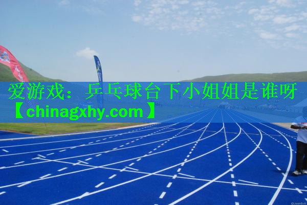 爱游戏：乒乓球台下小姐姐是谁呀