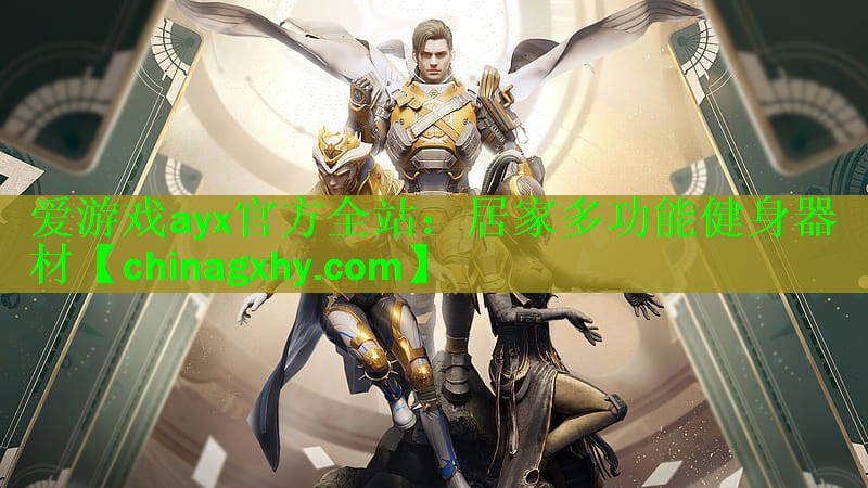 <strong>爱游戏ayx官方全站：居家多功能健身器材</strong>