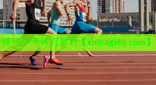 <strong>排球中考体育器材</strong>
