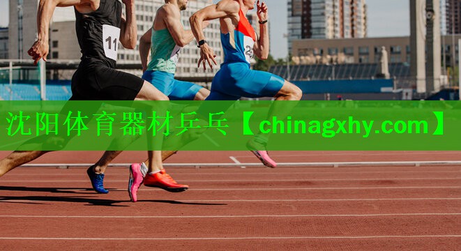 沈阳体育器材乒乓