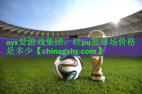 硅pu篮球场价格是多少