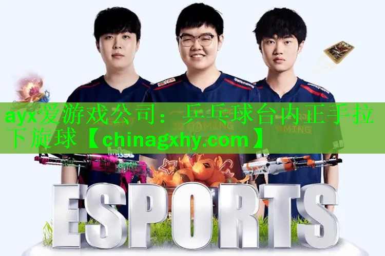 乒乓球台内正手拉下旋球