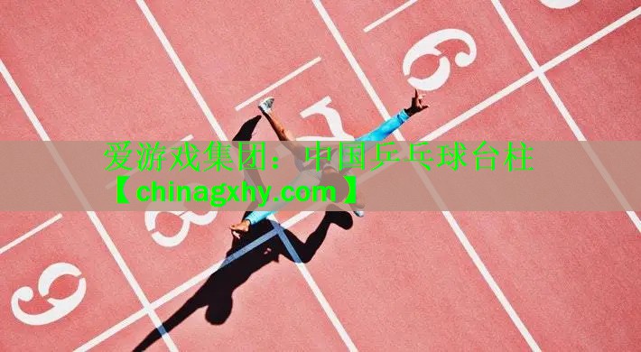 中国乒乓球台柱