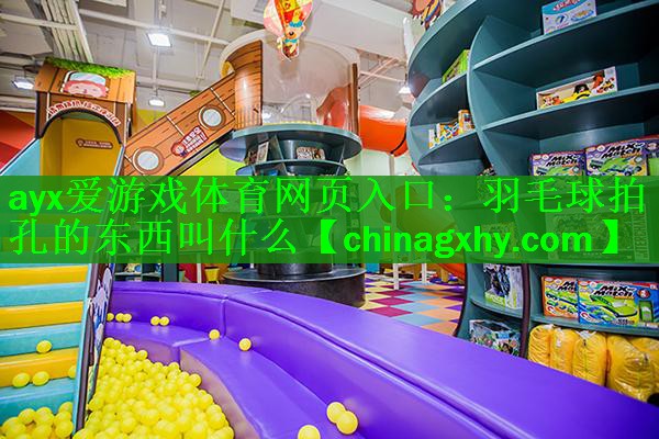 羽毛球拍孔的东西叫什么