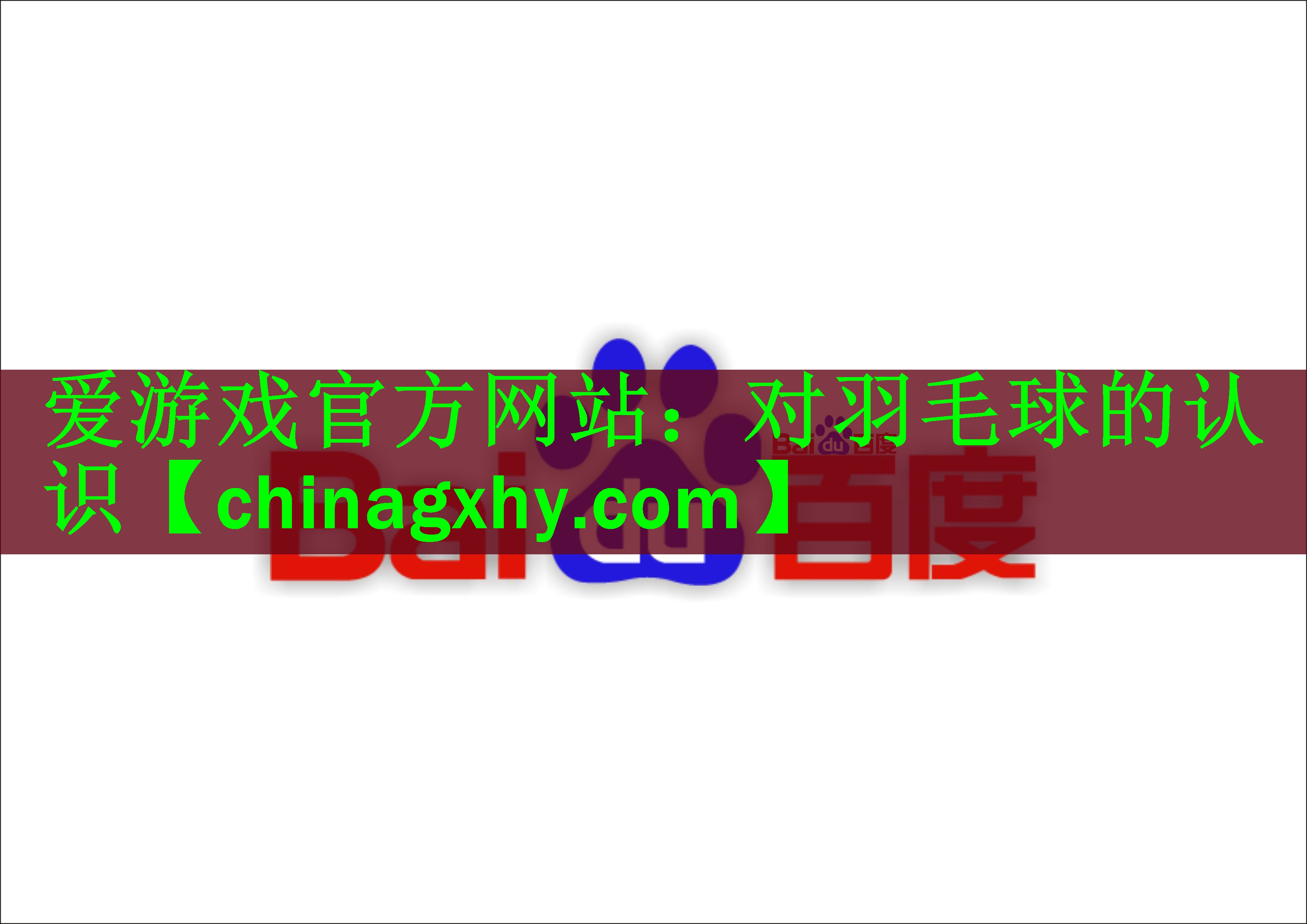 对羽毛球的认识