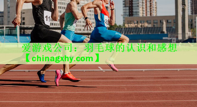 羽毛球的认识和感想